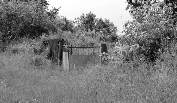 Beautiful Old Gate Abandoned House Village Natural Background Photography Consisting — Zdjęcie stockowe