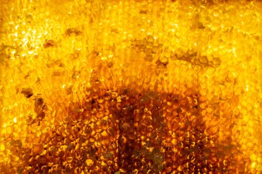 Altın nektarla dolu altıgen bal peteklerinden arı damlayan bal damlası, bal peteği yaz kompozisyonu doğal bal damlası, balmumu çerçeve arısına damlayan bal damlası, bal peteğine damlayan bal damlası