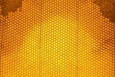 Altın nektarla dolu altıgen bal peteklerinden arı damlayan bal damlası, bal peteği yaz kompozisyonu doğal bal damlası, balmumu çerçeve arısına damlayan bal damlası, bal peteğine damlayan bal damlası