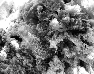 Altın nektarla dolu altıgen bal peteklerinden arı damlayan bal damlası, bal peteği yaz kompozisyonu doğal bal damlası, balmumu çerçeve arısına damlayan bal damlası, bal peteğine damlayan bal damlası