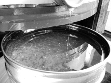 Sıvı nektarla dolu altıgen bal peteklerinden arı damlayan bal damlası, bal petekleri doğal bal damlatan yaz kompozisyonu, balmumu çerçeveli arı damlası, bal peteğine damlayan bal damlası