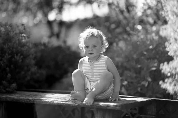 Όμορφο Αγοράκι Ξύλινο Παιδικό Παγκάκι Ποζάροντας Φωτογράφος Για Έγχρωμη Φωτογραφία — Φωτογραφία Αρχείου