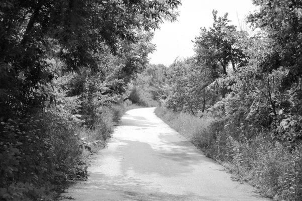 Beautiful Empty Asphalt Road Countryside Colored Background Photography Consisting New — Foto Stock