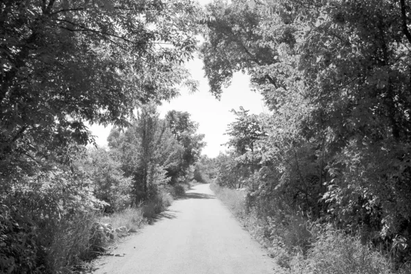 Beautiful Empty Asphalt Road Countryside Colored Background Photography Consisting New — Zdjęcie stockowe