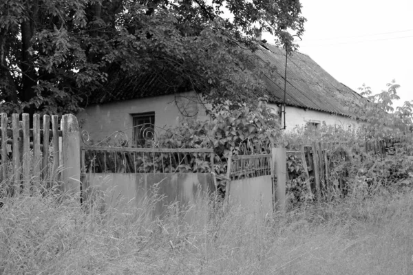 自然の背景に田舎の美しい古い放棄された建物の農場の家 野生の草で古い放棄された建物の農場の家からなる写真 空の上の古い放棄された建物の農場の家 — ストック写真