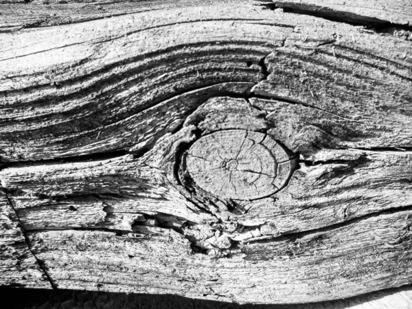 Όμορφο Ξύλινο Κάταγμα Παλιά Βελανιδιά Φυσική Υφή Κοντά Υφή Που — Φωτογραφία Αρχείου
