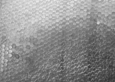 Altın nektarla dolu altıgen bal peteklerinden arı damlayan bal damlası, bal peteği yaz kompozisyonu doğal bal damlası, balmumu çerçeve arısına damlayan bal damlası, bal peteğine damlayan bal damlası