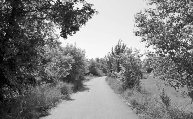 Renkli arka planda güzel boş asfalt yol, kırsal alandan geçen yeni boş asfalt yol, yeşillik kırsalında hız arabası için boş asfalt yol.