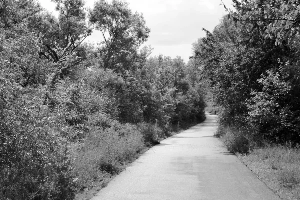 Mooie Lege Asfaltweg Het Platteland Gekleurde Achtergrond Fotografie Bestaande Uit — Stockfoto