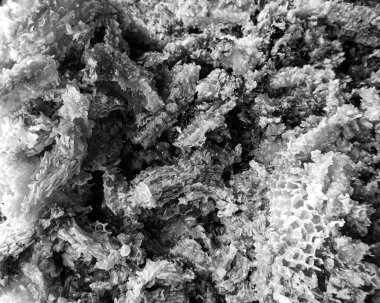 Altın nektarla dolu altıgen bal peteklerinden arı damlayan bal damlası, bal peteği yaz kompozisyonu doğal bal damlası, balmumu çerçeve arısına damlayan bal damlası, bal peteğine damlayan bal damlası