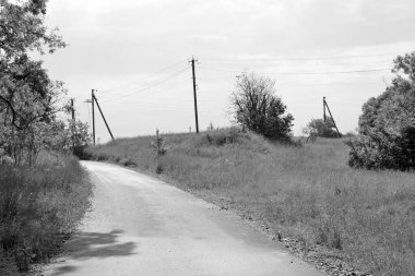 Renkli arka planda güzel boş asfalt yol, kırsal alandan geçen yeni boş asfalt yol, yeşillik kırsalında hız arabası için boş asfalt yol.