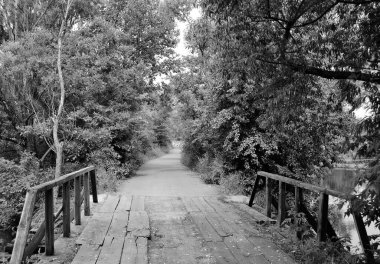 Renkli arka planda nehrin üzerinde güzel bir şekilde duran ahşap köprü. Nehrin yukarısındaki eski ahşap köprü. Doğal park için nehirde eski ahşap köprü.