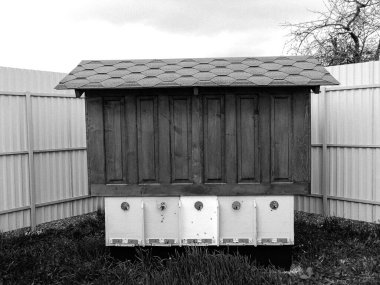 Kanatlı arı yavaşça uçar ve canlı çiçeklerden özel arı kovanına nektar toplar. Arı kovanından, arı kovanından, arı bacağındaki çiçek tozundan, arılara yakın planda arı kovanından oluşan arı kovanından.