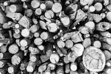 Temalı büyük bir meşe ağacı kütüğü duvarı, doğal arka planda eski meşe kütükleri, çeşitli çizgilerle dokulu geleneksel meşe ağacı kütükleri.