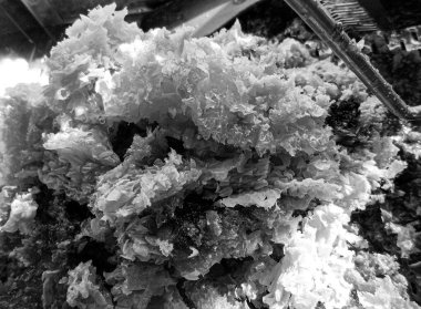 Altın nektarla dolu altıgen bal peteklerinden arı damlayan bal damlası, bal peteği yaz kompozisyonu doğal bal damlası, balmumu çerçeve arısına damlayan bal damlası, bal peteğine damlayan bal damlası