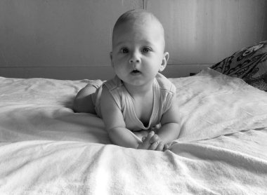 Renkli fotoğraf için poz veren çocuk yüzlü güzel erkek bebek, çocuk imajı olan erkek bebek kadrosu, beyaz yüz ifadesi, çocuk suratlı sağlıklı bir erkek çocuğu, iyi bir çekim için dinleniyor.