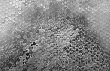 Altın nektarla dolu altıgen bal peteklerinden arı damlayan bal damlası, bal peteği yaz kompozisyonu doğal bal damlası, balmumu çerçeve arısına damlayan bal damlası, bal peteğine damlayan bal damlası