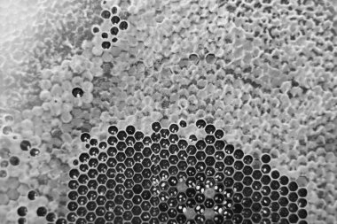 Altın nektarla dolu altıgen bal peteklerinden arı damlayan bal damlası, bal peteği yaz kompozisyonu doğal bal damlası, balmumu çerçeve arısına damlayan bal damlası, bal peteğine damlayan bal damlası