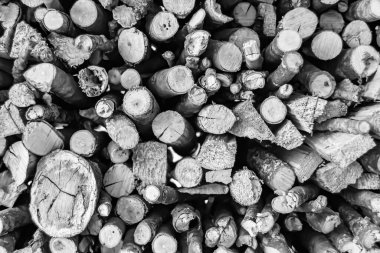 Temalı büyük bir meşe ağacı kütüğü duvarı, doğal arka planda eski meşe kütükleri, çeşitli çizgilerle dokulu geleneksel meşe ağacı kütükleri.