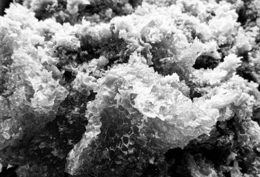 Altın nektarla dolu altıgen bal peteklerinden arı damlayan bal damlası, bal peteği yaz kompozisyonu doğal bal damlası, balmumu çerçeve arısına damlayan bal damlası, bal peteğine damlayan bal damlası