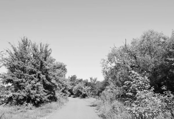 Hermoso Camino Asfalto Vacío Campo Sobre Fondo Color Fotografía Que — Foto de Stock