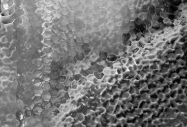 Altın nektarla dolu altıgen bal peteklerinden arı damlayan bal damlası, bal peteği yaz kompozisyonu doğal bal damlası, balmumu çerçeve arısına damlayan bal damlası, bal peteğine damlayan bal damlası