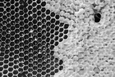 Altın nektarla dolu altıgen bal peteklerinden arı damlayan bal damlası, bal peteği yaz kompozisyonu doğal bal damlası, balmumu çerçeve arısına damlayan bal damlası, bal peteğine damlayan bal damlası