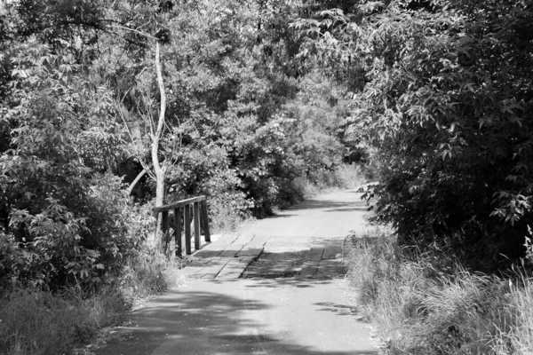 Beautifully Standing Old Wooden Bridge River Colored Background Close Photography — Foto Stock