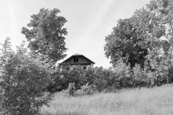 自然の背景に田舎の美しい古い放棄された建物の農場の家 野生の草で古い放棄された建物の農場の家からなる写真 空の上の古い放棄された建物の農場の家 — ストック写真
