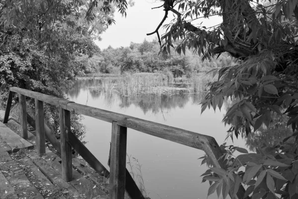 배경으로 가로지르는 아름답게 공원을 다리로 이루어진 — 스톡 사진