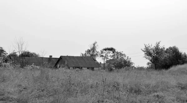 自然の背景に田舎の美しい古い放棄された建物の農場の家 野生の草で古い放棄された建物の農場の家からなる写真 空の上の古い放棄された建物の農場の家 — ストック写真