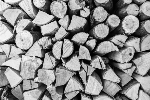 テーマに関する写真スタックオークの木のログの大きな壁に亀裂 自然の背景に古いオークの木のログで構成される写真 ストライプの様々なサイズのテクスチャラウンド年間リングからオークの木のログ — ストック写真