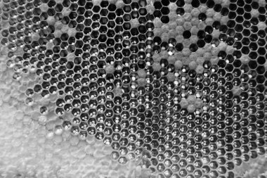 Altın nektarla dolu altıgen bal peteklerinden arı damlayan bal damlası, bal peteği yaz kompozisyonu doğal bal damlası, balmumu çerçeve arısına damlayan bal damlası, bal peteğine damlayan bal damlası