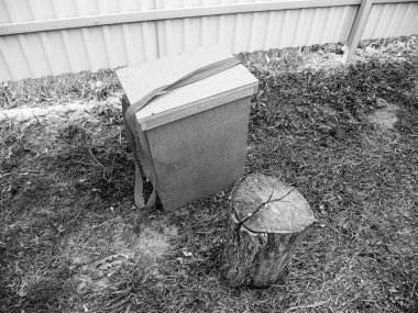 Kanatlı arı yavaşça uçar ve canlı çiçeklerden özel arı kovanına nektar toplar. Arı kovanından, arı kovanından, arı bacağındaki çiçek tozundan, arılara yakın planda arı kovanından oluşan arı kovanından.