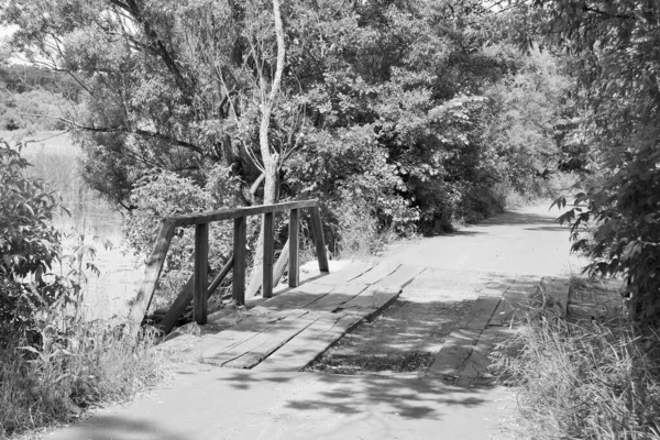 Belamente Ponte Madeira Velha Sobre Rio Fundo Colorido Close Fotografia — Fotografia de Stock