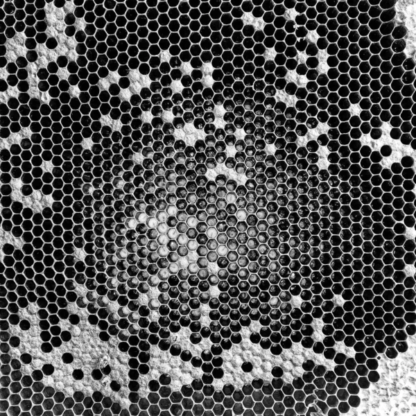 Structure Hexagonale Abstraite Est Nid Abeille Ruche Remplie Miel Composition — Photo