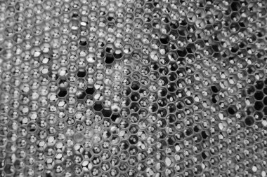 Altın nektarla dolu altıgen bal peteklerinden arı damlayan bal damlası, bal peteği yaz kompozisyonu doğal bal damlası, balmumu çerçeve arısına damlayan bal damlası, bal peteğine damlayan bal damlası