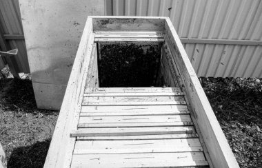 Kanatlı arı yavaşça uçar ve canlı çiçeklerden özel arı kovanına nektar toplar. Arı kovanından, arı kovanından, arı bacağındaki çiçek tozundan, arılara yakın planda arı kovanından oluşan arı kovanından.