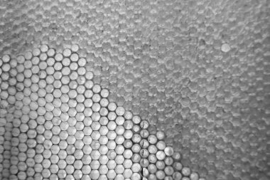 Altın nektarla dolu altıgen bal peteklerinden arı damlayan bal damlası, bal peteği yaz kompozisyonu doğal bal damlası, balmumu çerçeve arısına damlayan bal damlası, bal peteğine damlayan bal damlası