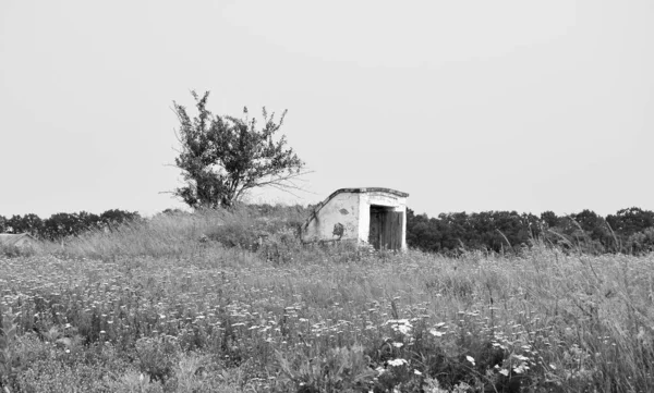 Όμορφη Παλιά Εγκαταλελειμμένο Κτίριο Αγροικία Στην Ύπαιθρο Φυσικό Υπόβαθρο Φωτογραφία — Φωτογραφία Αρχείου