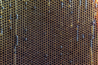 Altın nektarla dolu altıgen bal peteklerinden arı damlayan bal damlası, bal peteği yaz kompozisyonu doğal bal damlası, balmumu çerçeve arısına damlayan bal damlası, bal peteğine damlayan bal damlası