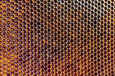 Altın nektarla dolu altıgen bal peteklerinden arı damlayan bal damlası, bal peteği yaz kompozisyonu doğal bal damlası, balmumu çerçeve arısına damlayan bal damlası, bal peteğine damlayan bal damlası