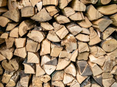 Temalı büyük bir meşe ağacı kütüğü duvarı, doğal arka planda eski meşe kütükleri, çeşitli çizgilerle dokulu geleneksel meşe ağacı kütükleri.