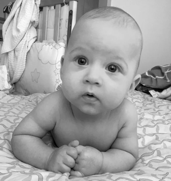 Beautiful Baby Boy Child Face Posing Photographer Color Photo Cadre — Stock Photo, Image