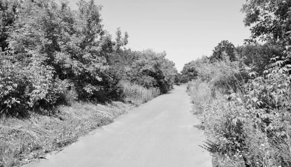 Mooie Lege Asfaltweg Het Platteland Gekleurde Achtergrond Fotografie Bestaande Uit — Stockfoto