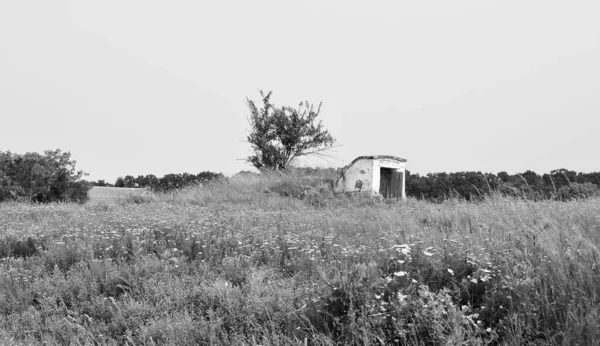 自然の背景に田舎の美しい古い放棄された建物の農場の家 野生の草で古い放棄された建物の農場の家からなる写真 空の上の古い放棄された建物の農場の家 — ストック写真