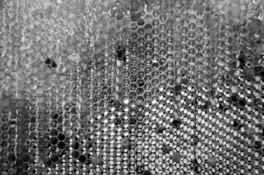 Altın nektarla dolu altıgen bal peteklerinden arı damlayan bal damlası, bal peteği yaz kompozisyonu doğal bal damlası, balmumu çerçeve arısına damlayan bal damlası, bal peteğine damlayan bal damlası