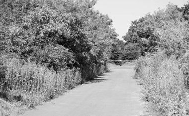 Renkli arka planda güzel boş asfalt yol, kırsal alandan geçen yeni boş asfalt yol, yeşillik kırsalında hız arabası için boş asfalt yol.