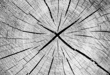 Güzel ahşap çatlak eski meşe, doğal doku yakın, eski yüzey ahşap meşe, çizgili doku eski meşe, duvar kağıdı arka planı için dekoratif tekir kırığı.