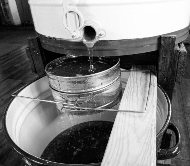 Sıvı nektarla dolu altıgen bal peteklerinden arı damlayan bal damlası, bal petekleri doğal bal damlatan yaz kompozisyonu, balmumu çerçeveli arı damlası, bal peteğine damlayan bal damlası